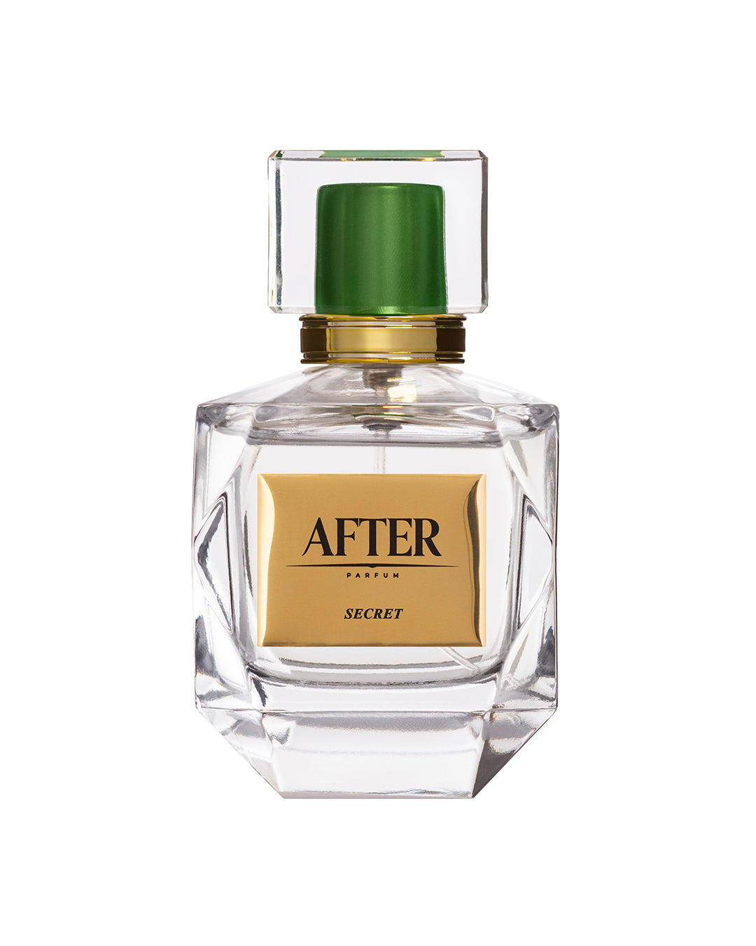 SECRET - ciò che è stato taciuto