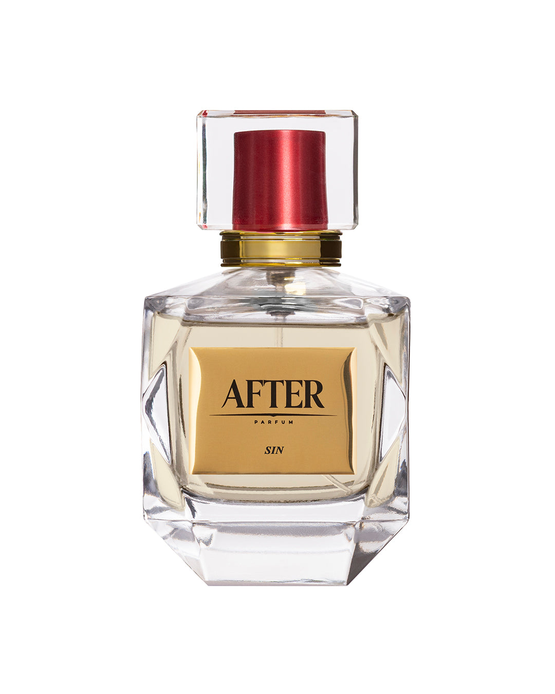 SIN - il peccato consumato